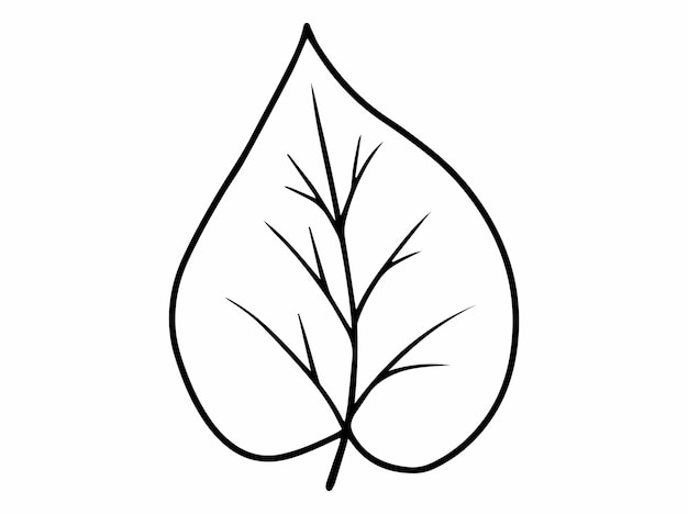 Vector hand drawn leaves line art illustration