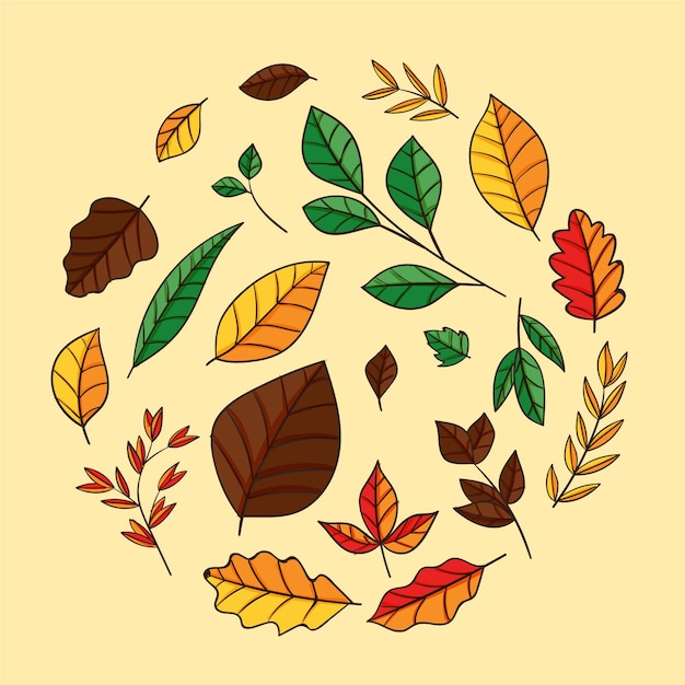 Hand drawn leaves in various shapes