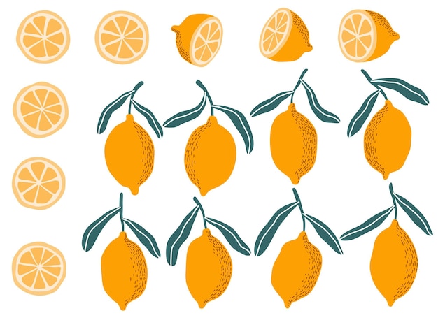 Hand drawn lemon illustration