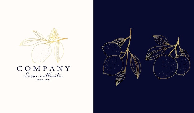 Hand drawn lemon logo gold lemon golden luxury