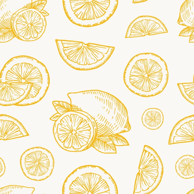 Hand Drawn Lemon, Orange or Tangerine Harvest Vector Seamless Background Pattern