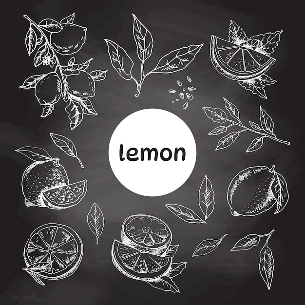 Нарисованный вручную лимонный набор, целый лимон, нарезанные кусочки, половина, лист, ветка, семя и эскиз надписи