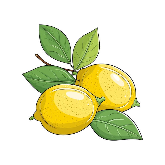 Вектор Ручно нарисованный лимонный векторный мультфильм изолированный белый фон