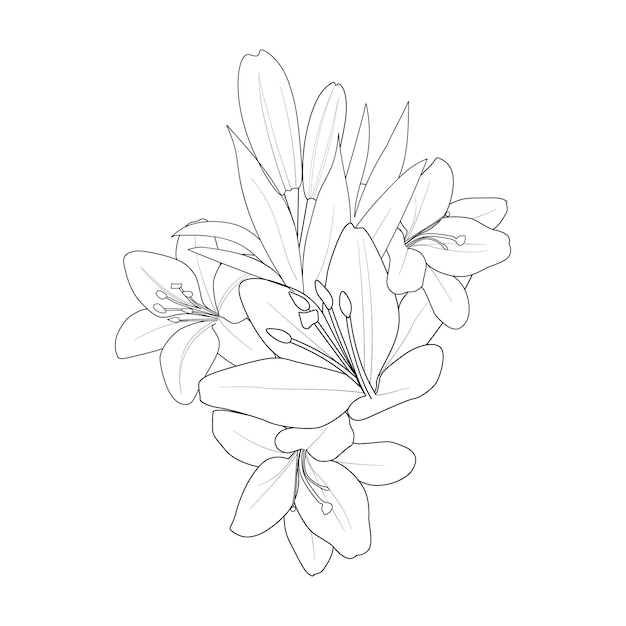 黒と白の刻まれたインク アート イラスト着色ページの手描きのユリの花の花束