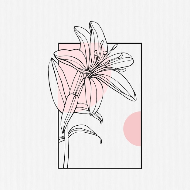 Hand drawn lily flower design in line art style