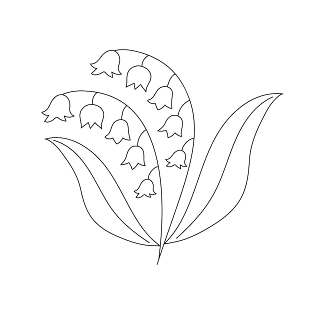 Vector hand drawn lily of the valley in line art doodle style botanical decorative element