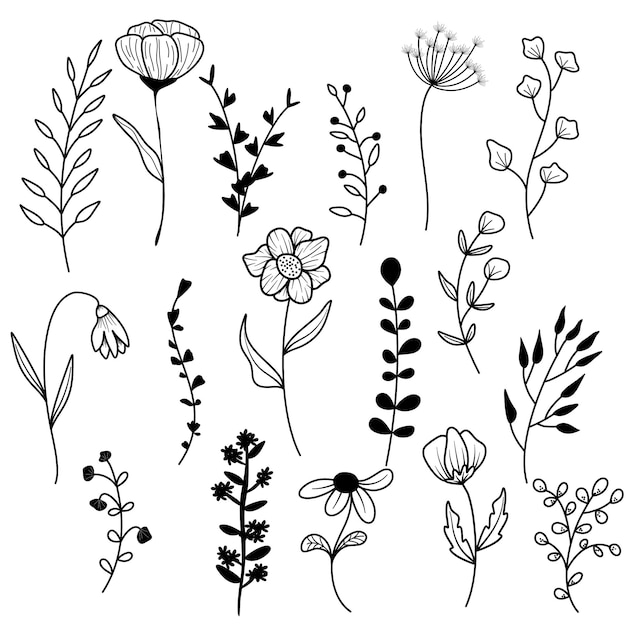 hand drawn line art floral decoration