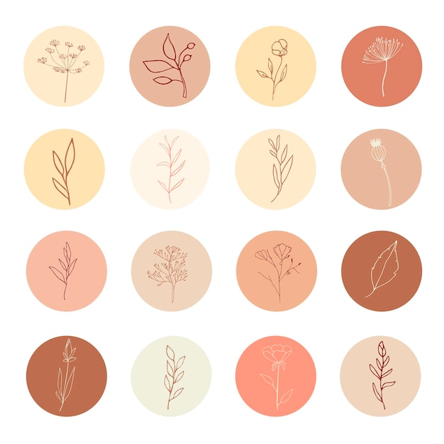 ソーシャルメディアのハイライトのための手描きの線画イラストカバーベクトルコレクション植物の果実ハーブ花葉枝