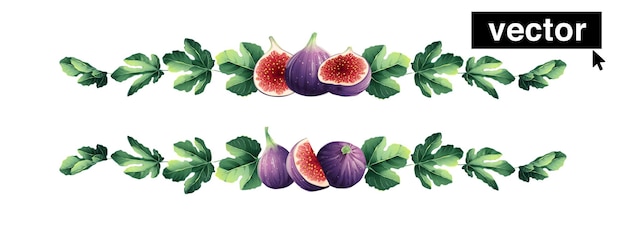 Vector hand-drawn line borders made of sweet juicy figs. realistic vector-style illustration. mediterranean design elements. perfect for invitations, greeting cards, prints, posters, packing, etc