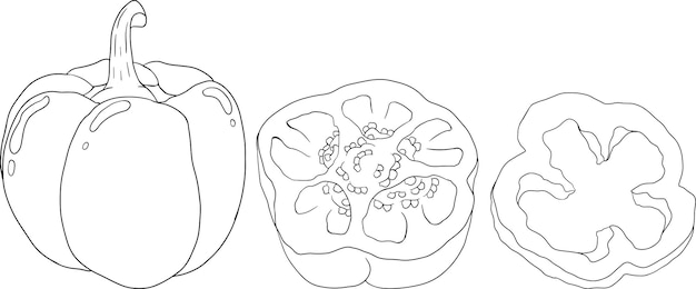 Ручной рисунок линии различных видов перца Белл сладкий перец паприка Овощи p