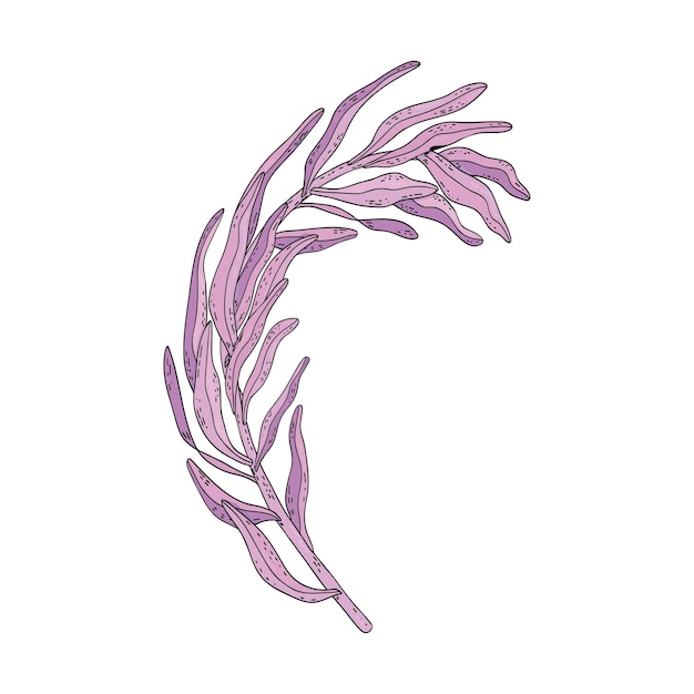 Hand drawn line purple floral twig botanical pink branches leaves