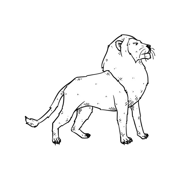 Vector hand drawn lion in doodle style sketch