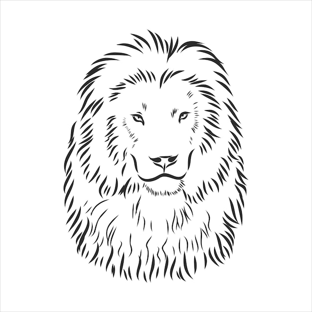 Hand drawn lion. Sketch, vector illustration. wild animal