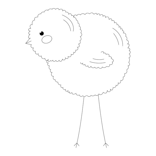 hand drawn little chick with long legs