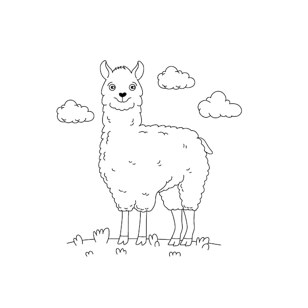 Hand drawn llama outline illustration