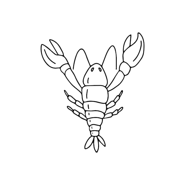 Hand drawn lobster vector illustration