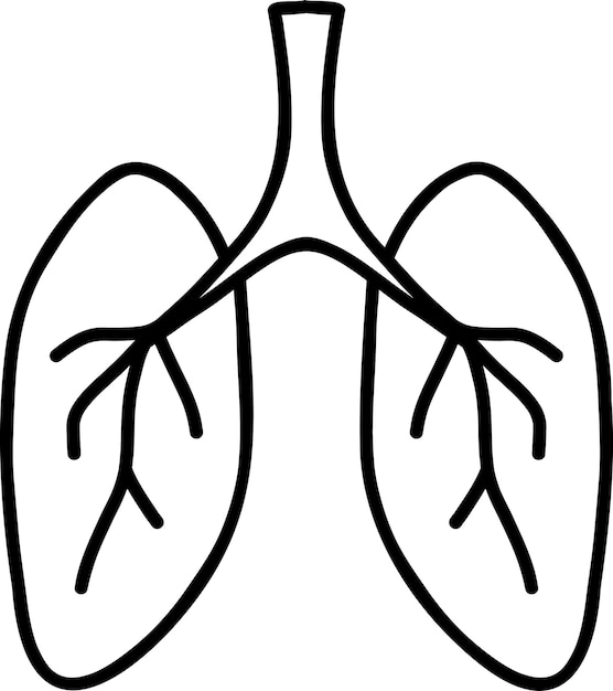 Hand Drawn lungs illustration