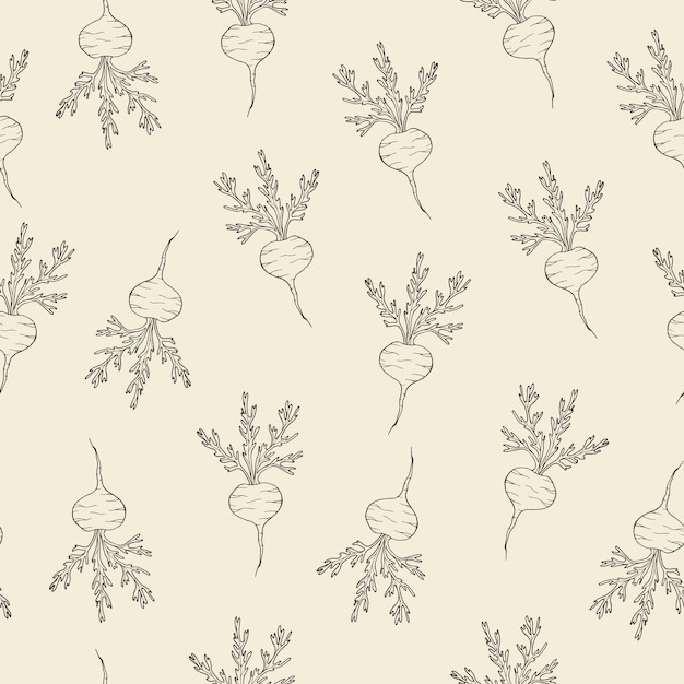 Hand drawn maca plant seamless pattern