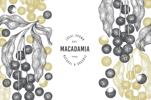 Modello di progettazione di rami e noccioli di macadamia disegnato a mano