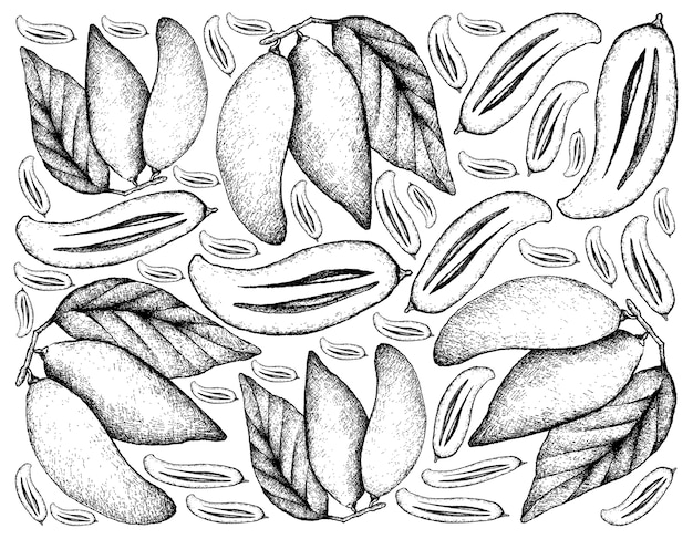 Hand drawn madan fruits.