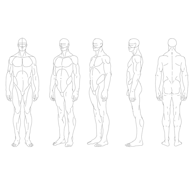 Vector hand drawn male figure anatomy study with 5 angle