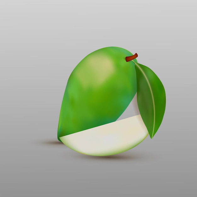 Hand drawn mango fruit vector illustration