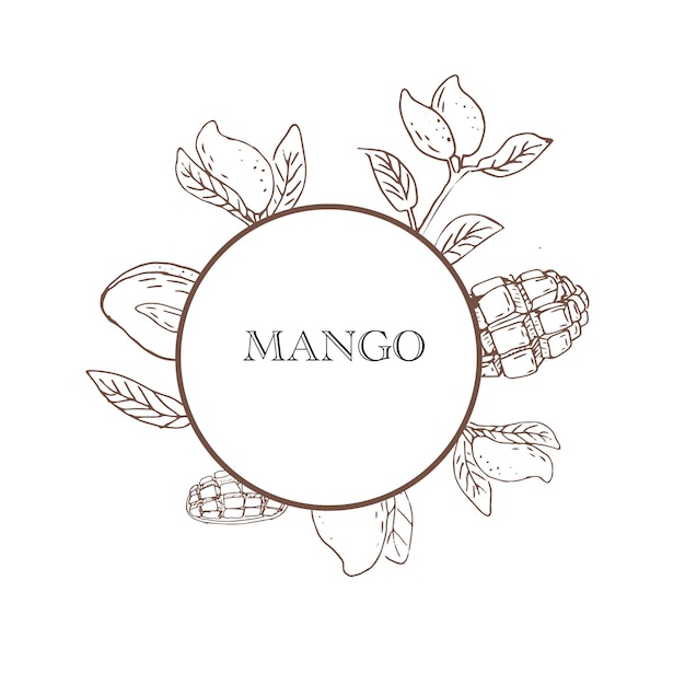 Hand drawn Mango fruit with round outline banner