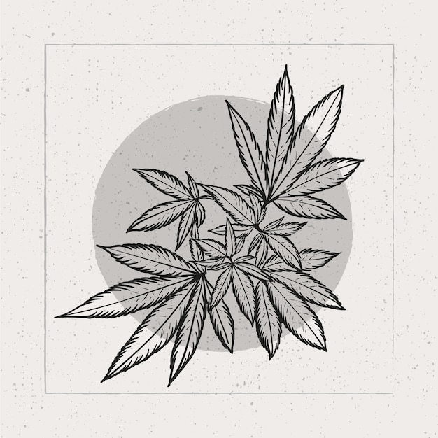 Нарисованная рукой иллюстрация контура листа марихуаны