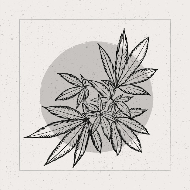 Hand drawn marijuana leaf outline illustration