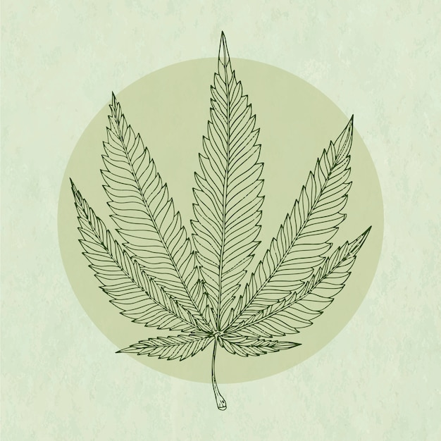 Illustrazione del contorno di una foglia di marijuana disegnata a mano