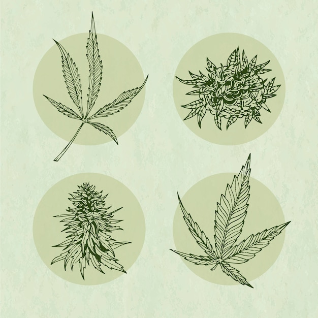 Vettore illustrazione del contorno di una foglia di marijuana disegnata a mano