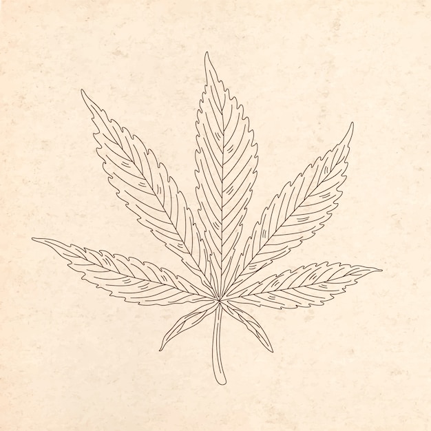 Vettore illustrazione disegnata a mano del profilo della foglia di marijuana