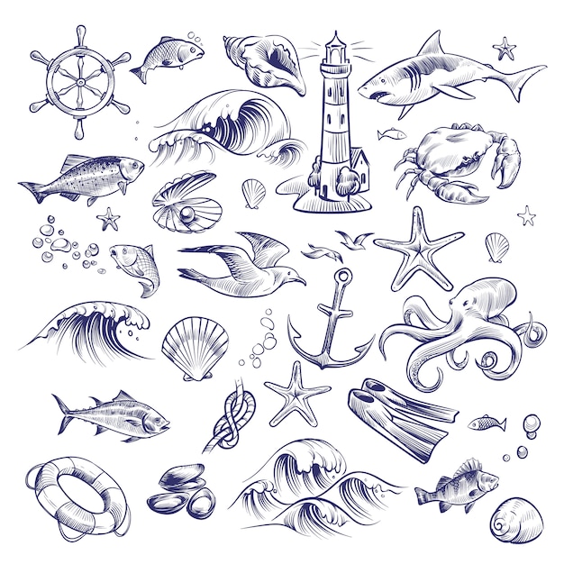 Hand drawn marine set. Sea ocean voyage lighthouse shark crab octopus starfish knot crab shell lifebuoy collection