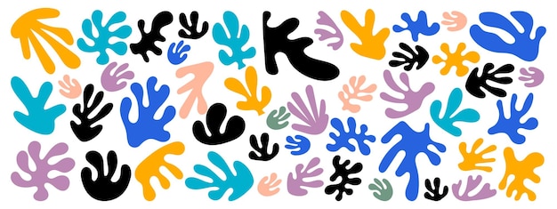 Hand drawn matisse flower style illustration