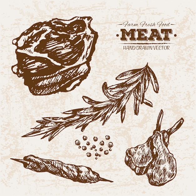 Hand drawn meat products collection with rosemary