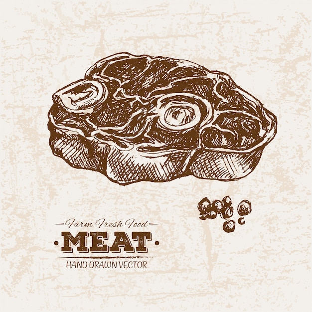 Vector hand drawn meat products