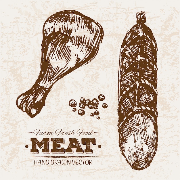 Vector hand drawn meat products