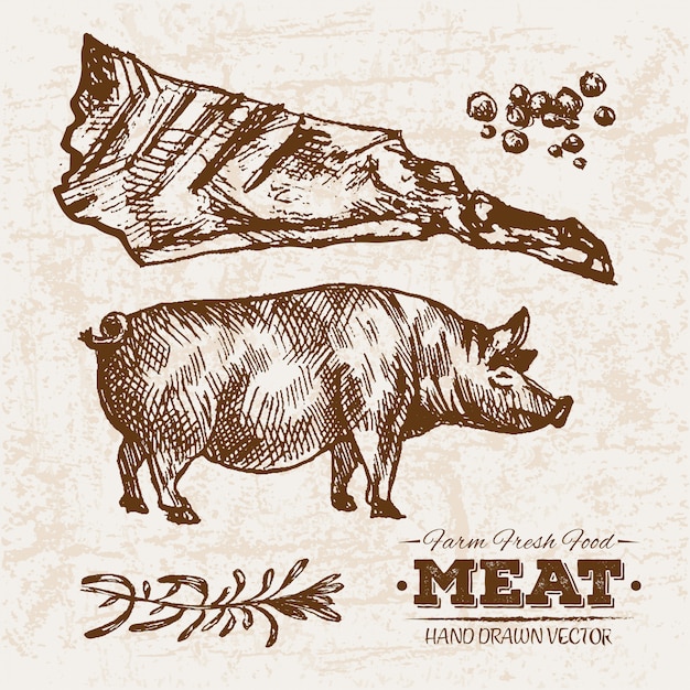 Vettore prodotti a base di carne disegnati a mano