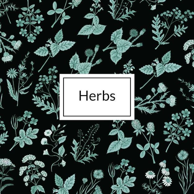  hand drawn medical herbs background 