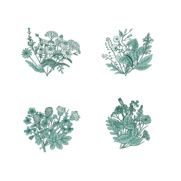 手繪的醫用草本花束 套圖