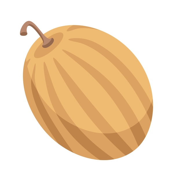 Hand drawn melon Food icon Vector illustration