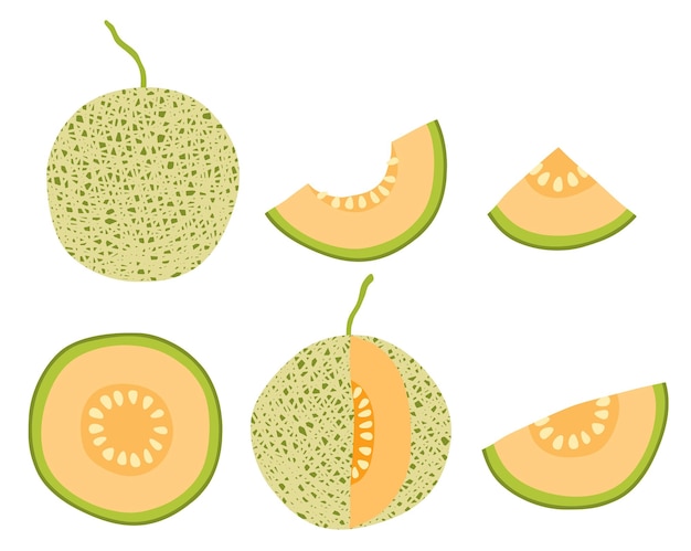 Hand drawn melon set