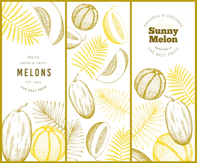 Hand drawn melons and watermelons with tropical leaves banner set.