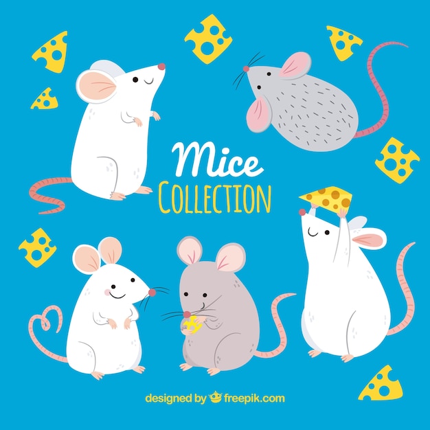 Hand drawn mice collection