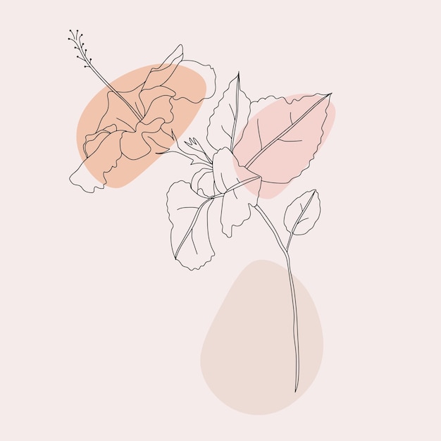 Vector hand drawn minimal beautiful flower illustration