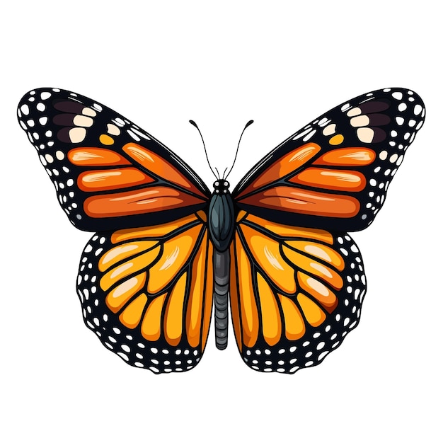 Vector hand drawn monarch butterfly cartoon vector illustration clipart white background