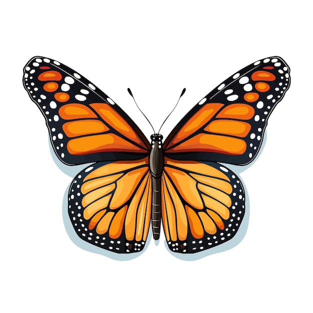 Vector hand drawn monarch butterfly cartoon vector illustration clipart white background