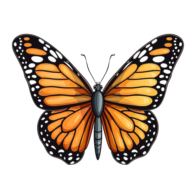 Vector hand drawn monarch butterfly cartoon vector illustration clipart white background