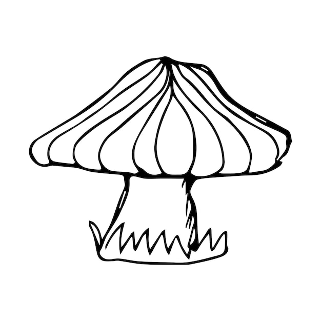 Hand drawn mushroom black and white vector