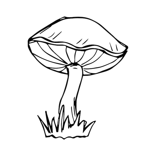 Hand drawn mushroom black and white vector